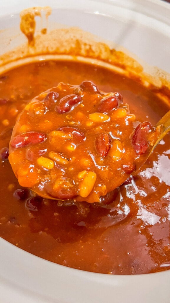  IMG_6364_jpg-576x1024 Hearty Crock Pot Chili  