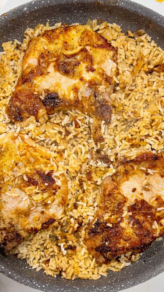 IMG_6821_jpg-576x1024 Fried French Onion Pork Chops and Rice