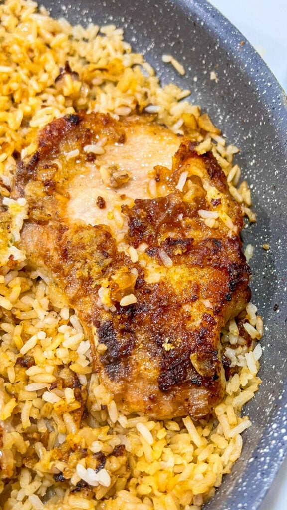 IMG_6838_jpg-576x1024 Fried French Onion Pork Chops and Rice