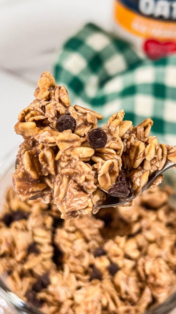  IMG_0074_jpg-576x1024 Chocolate Overnight Oats  