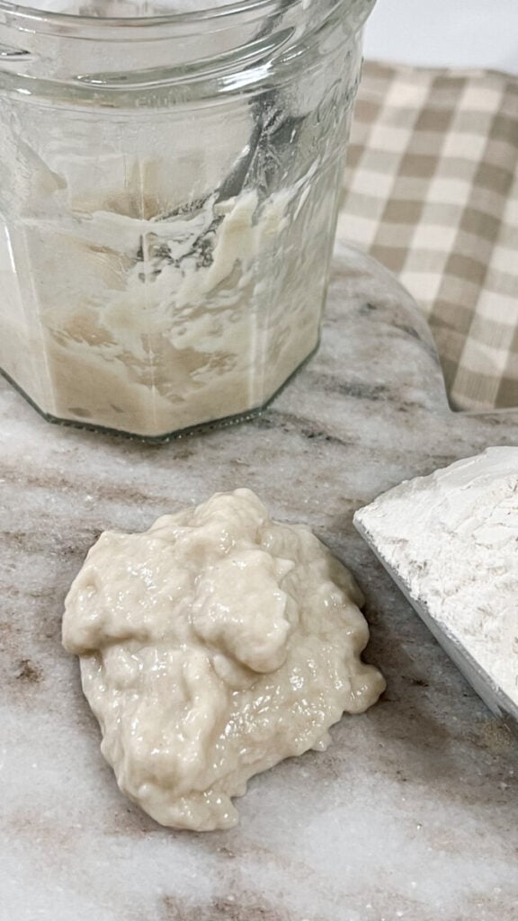  IMG_1457-576x1024 What Is Sourdough Discard?  