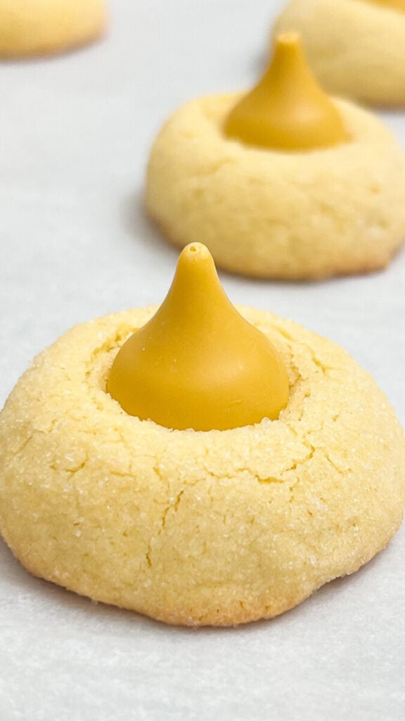  IMG_7678_jpg-576x1024 Butterbeer Blossom Cookies  