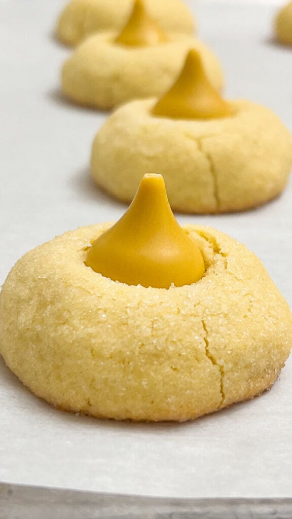  IMG_7684_jpg-576x1024 Butterbeer Blossom Cookies  