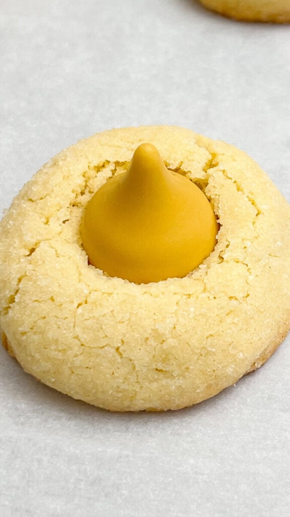  IMG_7685_jpg-576x1024 Butterbeer Blossom Cookies  