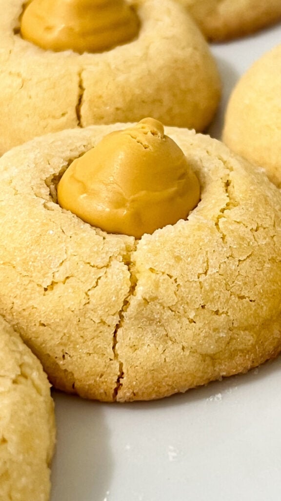  IMG_7818_jpg-576x1024 Butterbeer Blossom Cookies  