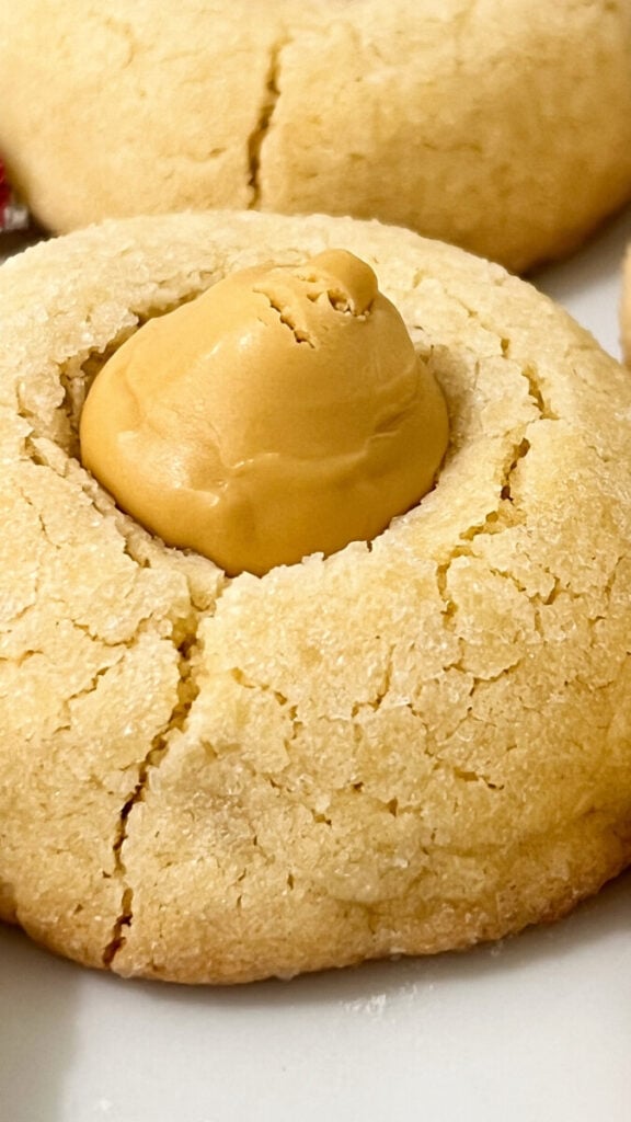  IMG_7820_jpg-576x1024 Butterbeer Blossom Cookies  