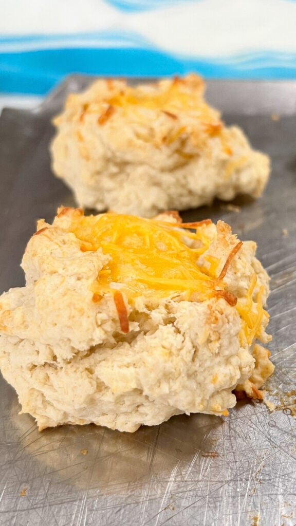  IMG_8224_jpg-576x1024 Easy Cheddar Drop Biscuits  