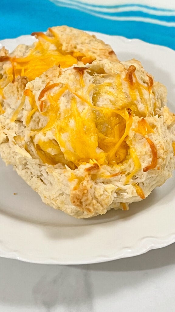  IMG_8246_jpg-576x1024 Easy Cheddar Drop Biscuits  