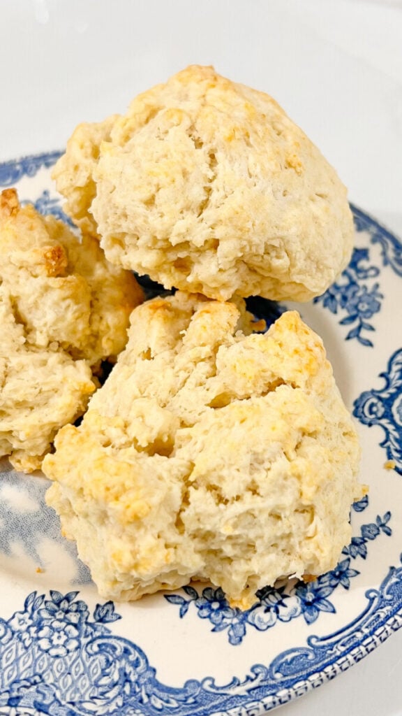  IMG_8297_jpg-576x1024 Sourdough Discard Drop Biscuits  