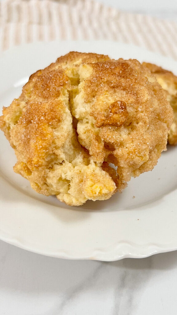  IMG_8312_jpg-576x1024 Cinnamon and Sugar Drop Biscuits  