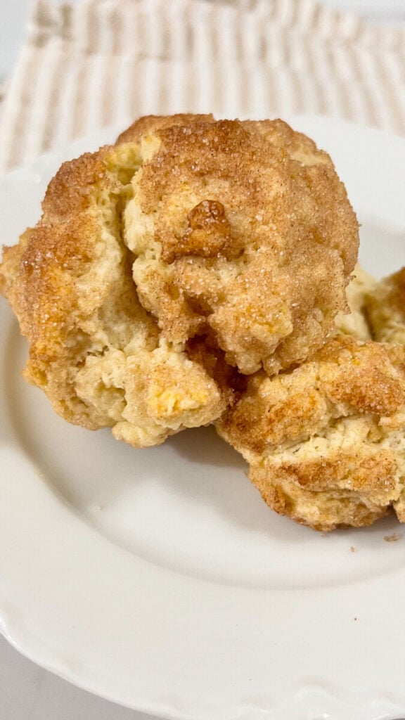  IMG_8313_jpg-576x1024 Cinnamon and Sugar Drop Biscuits  