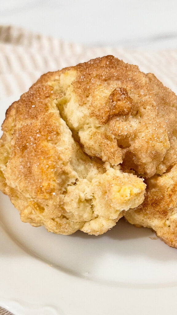  IMG_8317_jpg-576x1024 Cinnamon and Sugar Drop Biscuits  