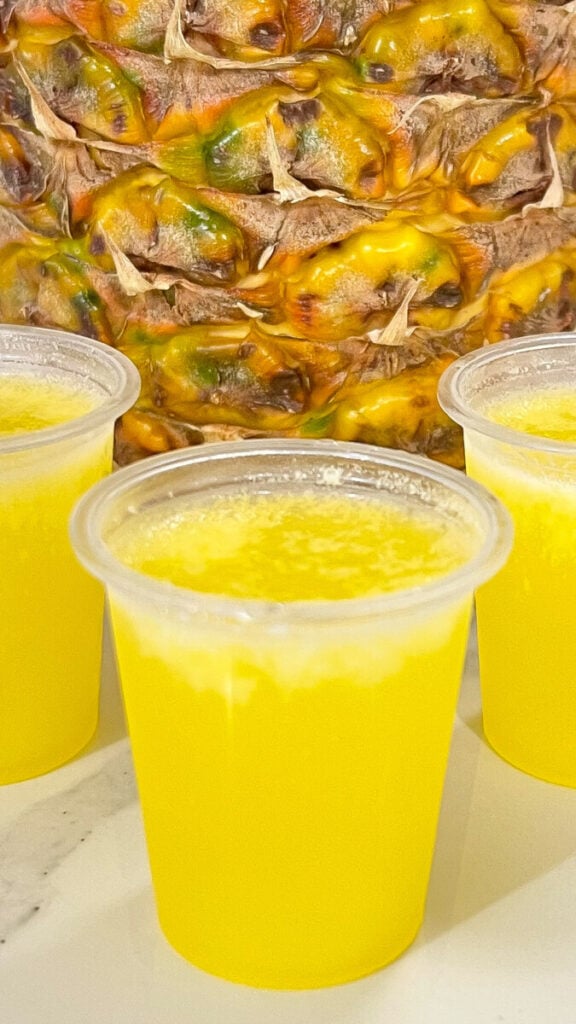  IMG_9112_jpg-576x1024 Dole Whip Jello Shots  