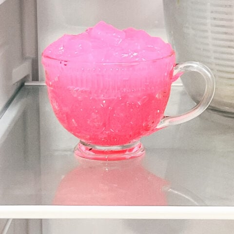  IMG_9964_jpg-480x480 Pink Jello Diet Recipe  