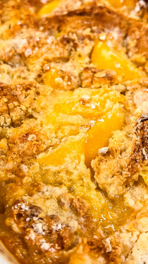  IMG_4091-576x1024 Easy Oatmeal Peach Cobbler  