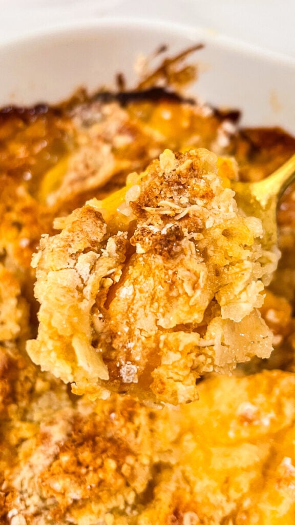  IMG_4105-576x1024 Easy Oatmeal Peach Cobbler  