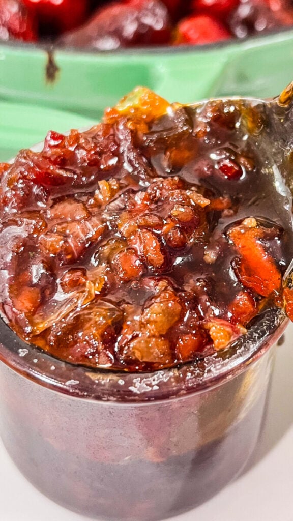  IMG_4333-576x1024 Appetizers  