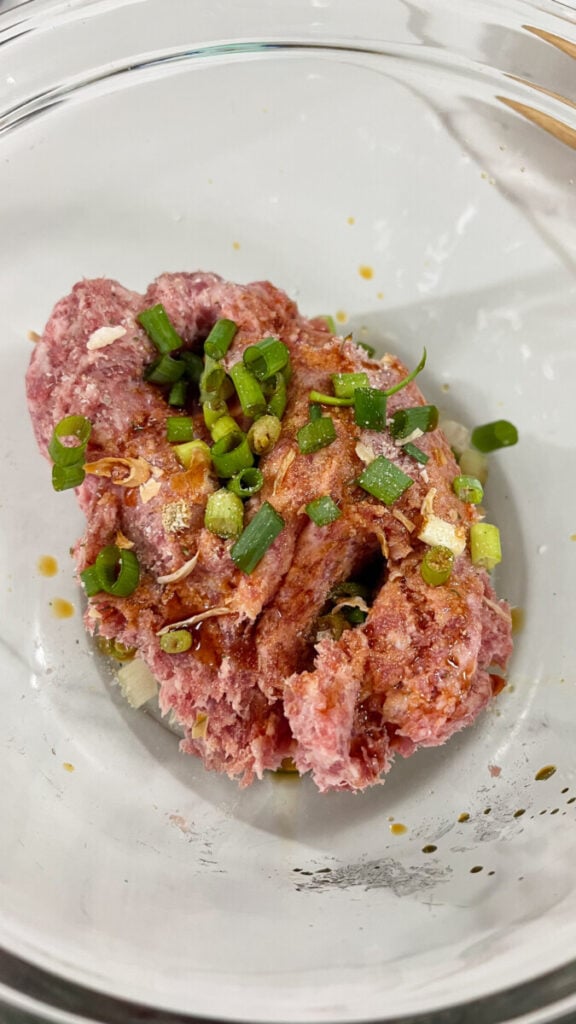 IMG_4935-576x1024 Blanket Dumplings