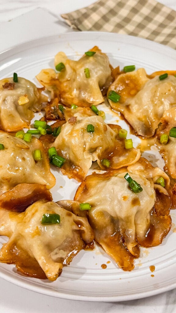 IMG_4955-576x1024 Blanket Dumplings