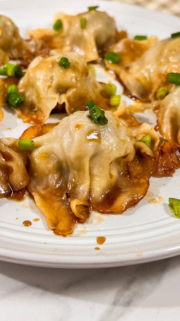 IMG_4957-576x1024 Blanket Dumplings