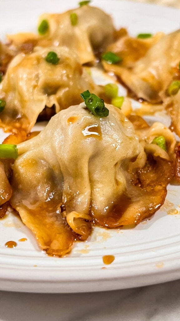 IMG_4959-576x1024 Blanket Dumplings