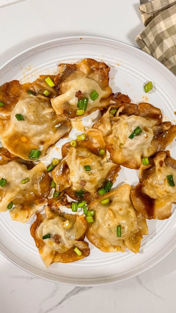 IMG_4969-576x1024 Blanket Dumplings