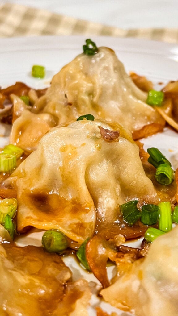 IMG_4979-576x1024 Blanket Dumplings