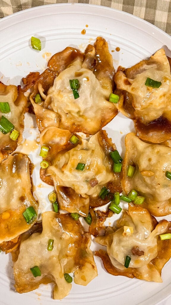 IMG_4985-576x1024 Blanket Dumplings