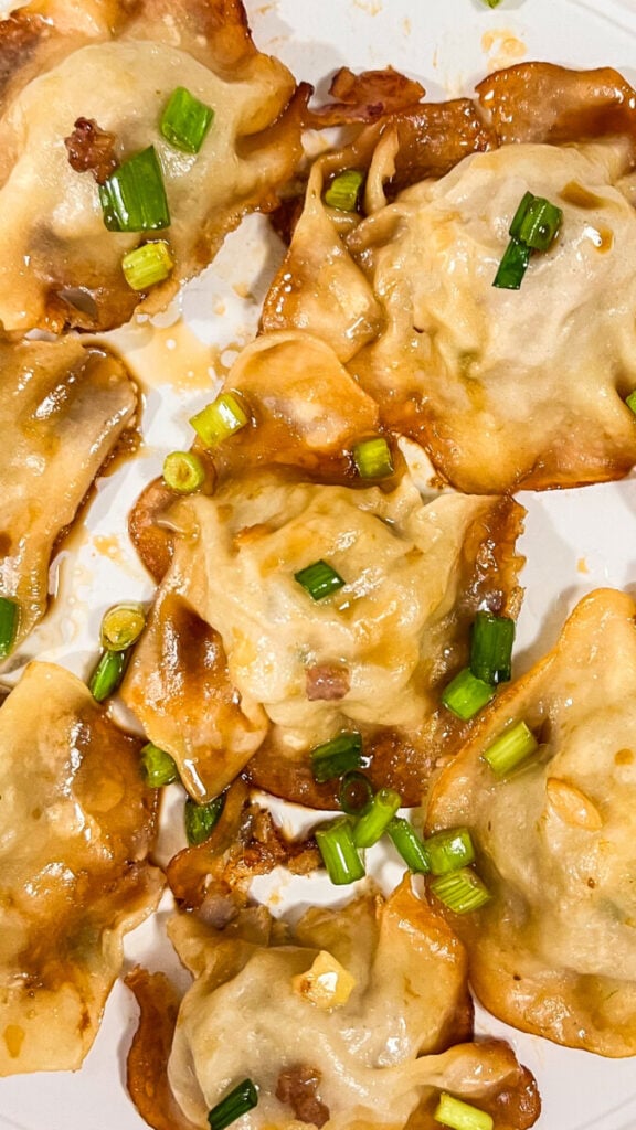 IMG_4986-576x1024 Blanket Dumplings