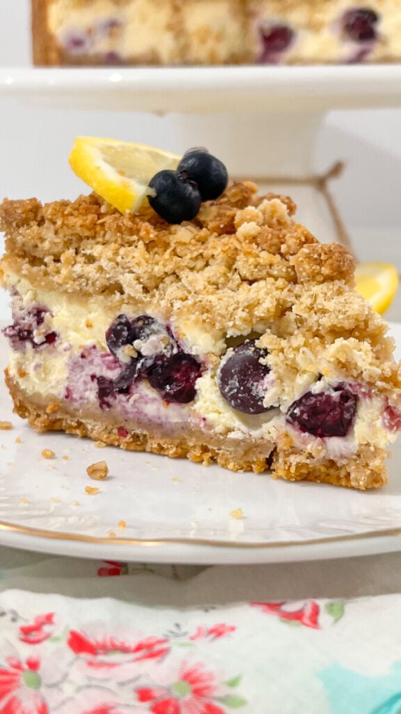  IMG_5512-576x1024 Lemon Blueberry Crumb Cheesecake  