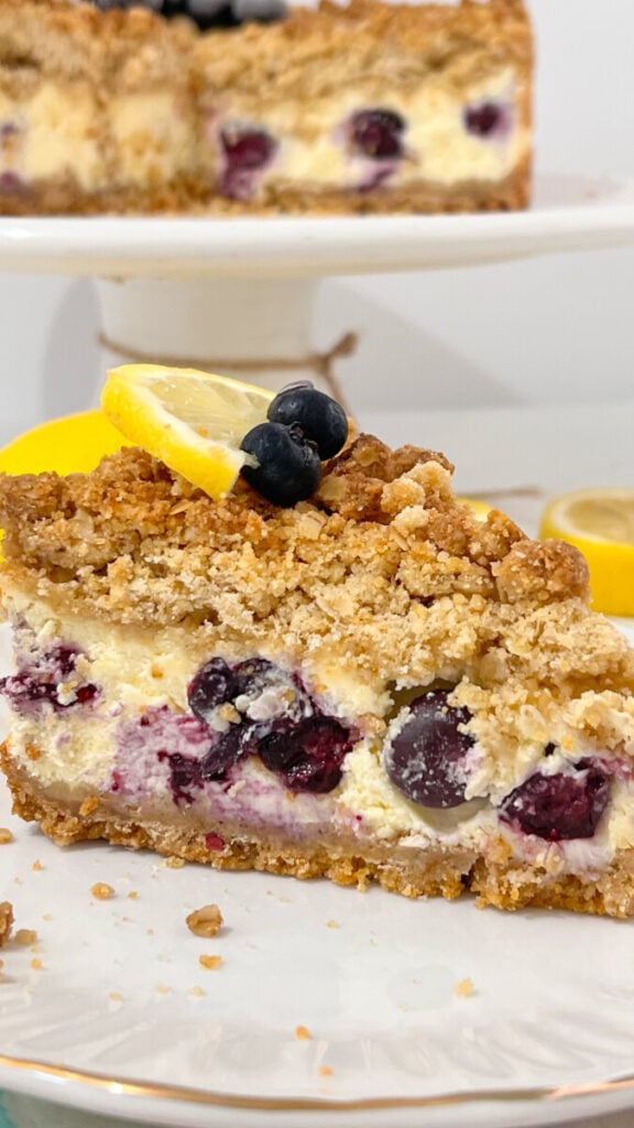  IMG_5516-576x1024 Lemon Blueberry Crumb Cheesecake  