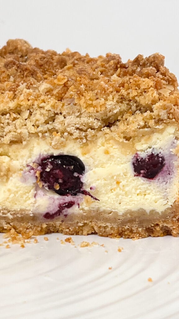  IMG_5529-576x1024 Lemon Blueberry Crumb Cheesecake  