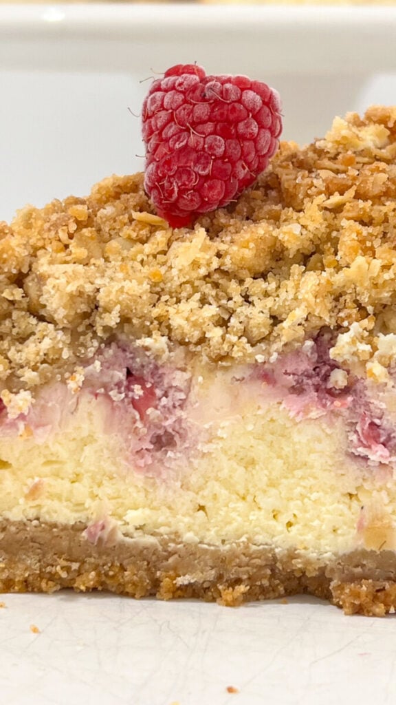  IMG_5549-576x1024 Raspberry Crumb Cheesecake  