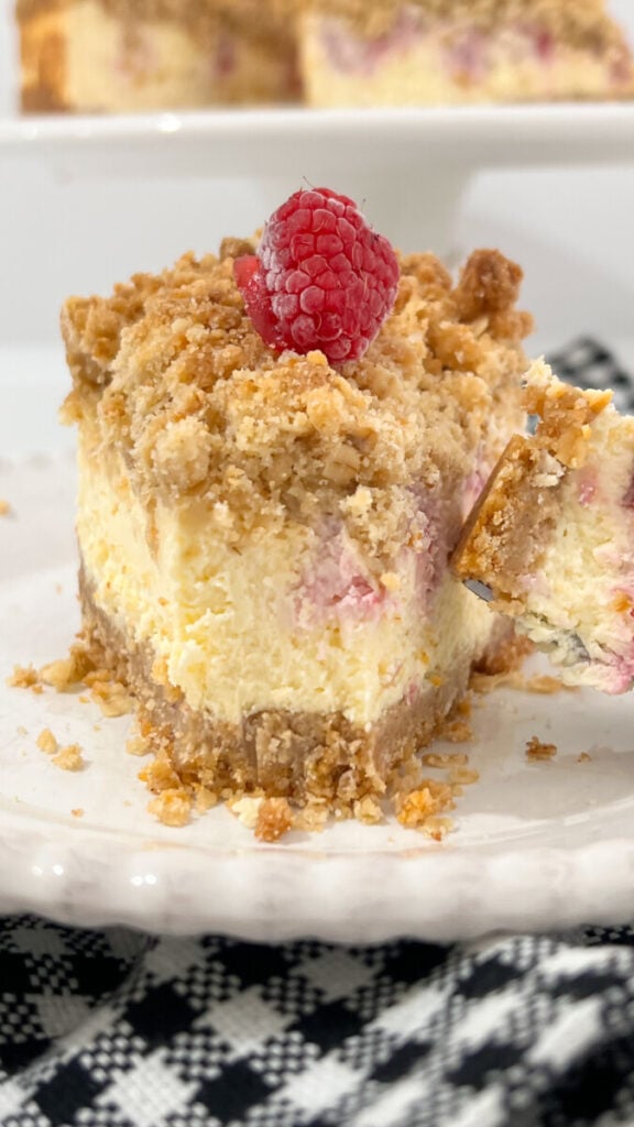  IMG_5561-576x1024 Raspberry Crumb Cheesecake  