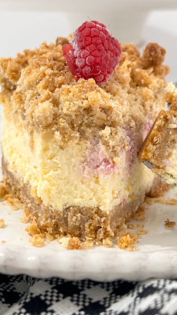  IMG_5563-576x1024 Raspberry Crumb Cheesecake  