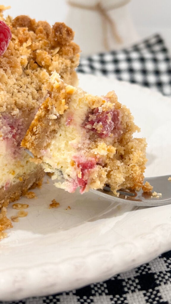  IMG_5565-576x1024 Raspberry Crumb Cheesecake  