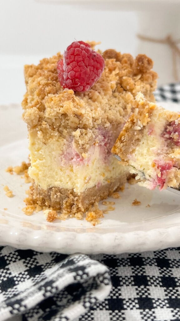  IMG_5568-576x1024 Raspberry Crumb Cheesecake  