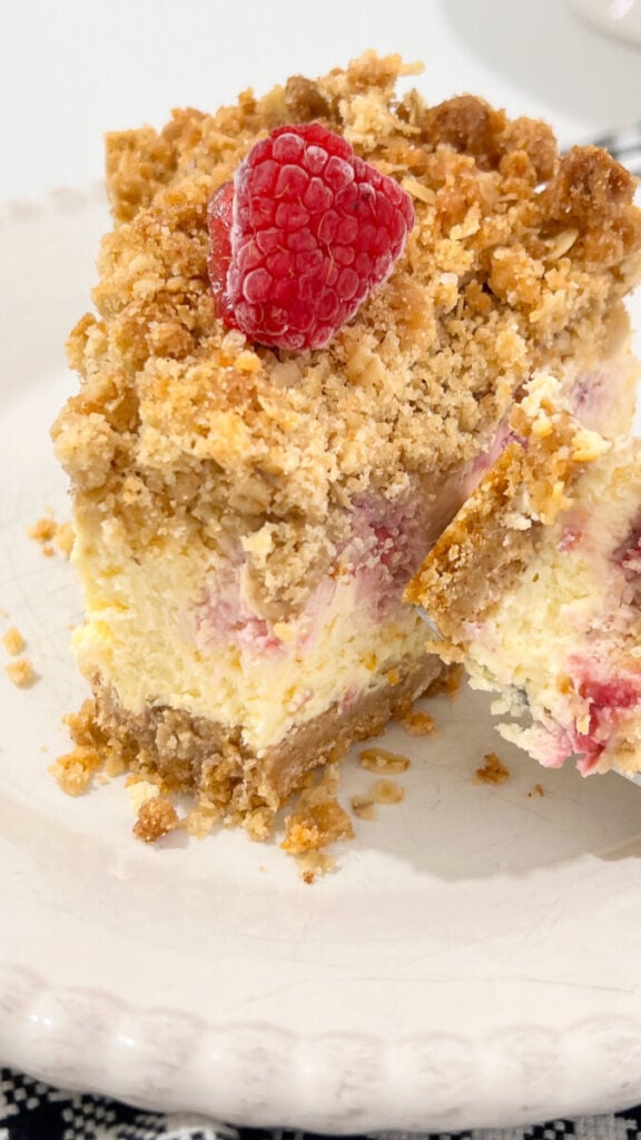  IMG_5570-576x1024 Raspberry Crumb Cheesecake  