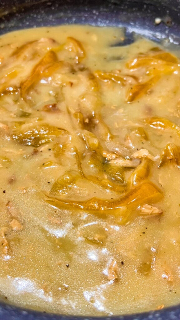  IMG_5835-576x1024 Onion Gravy  