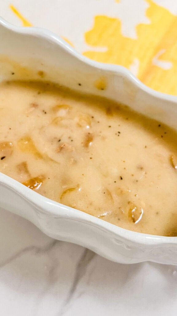  IMG_5840-576x1024 Onion Gravy  