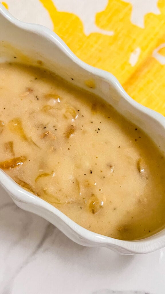  IMG_5841-576x1024 Onion Gravy  