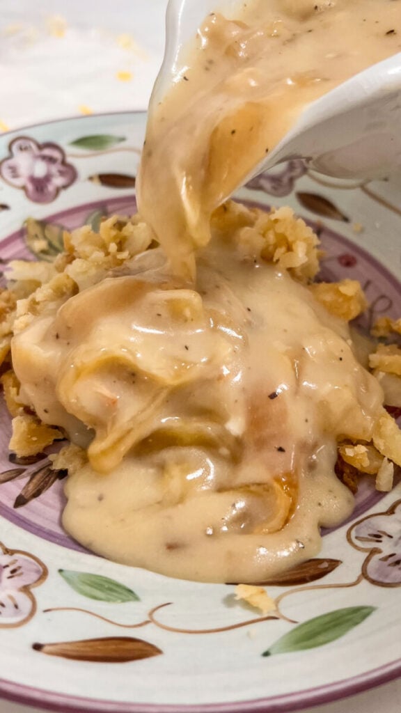  IMG_5859-576x1024 Onion Gravy  