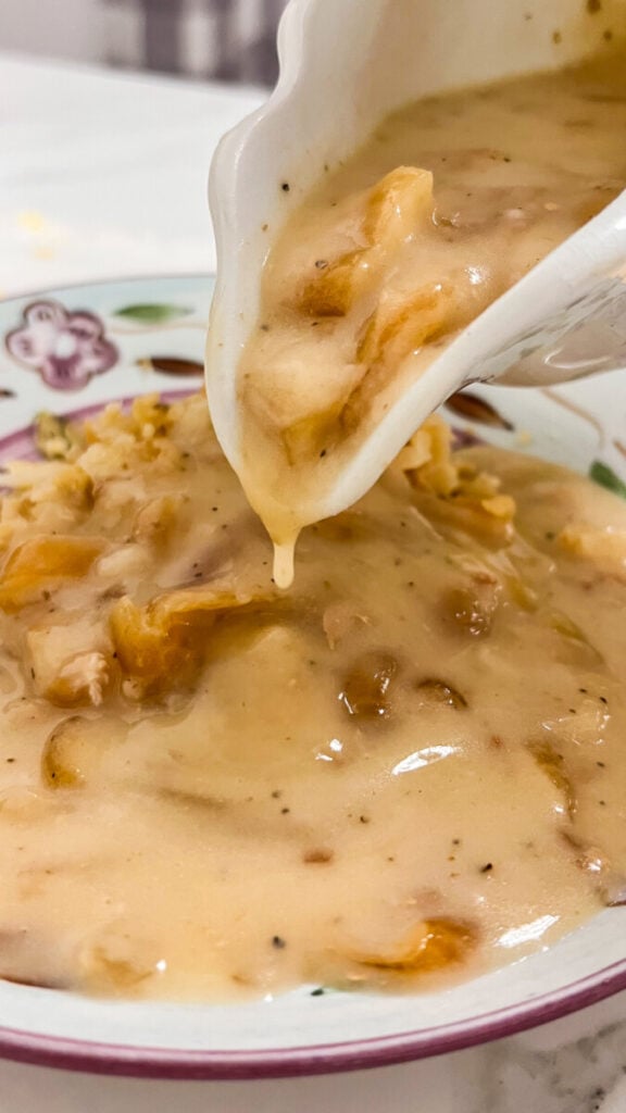  IMG_5876-576x1024 Onion Gravy  