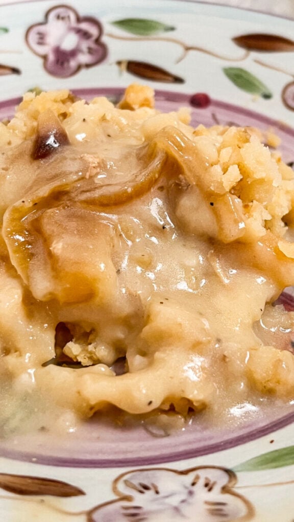  IMG_5894-576x1024 Onion Gravy  