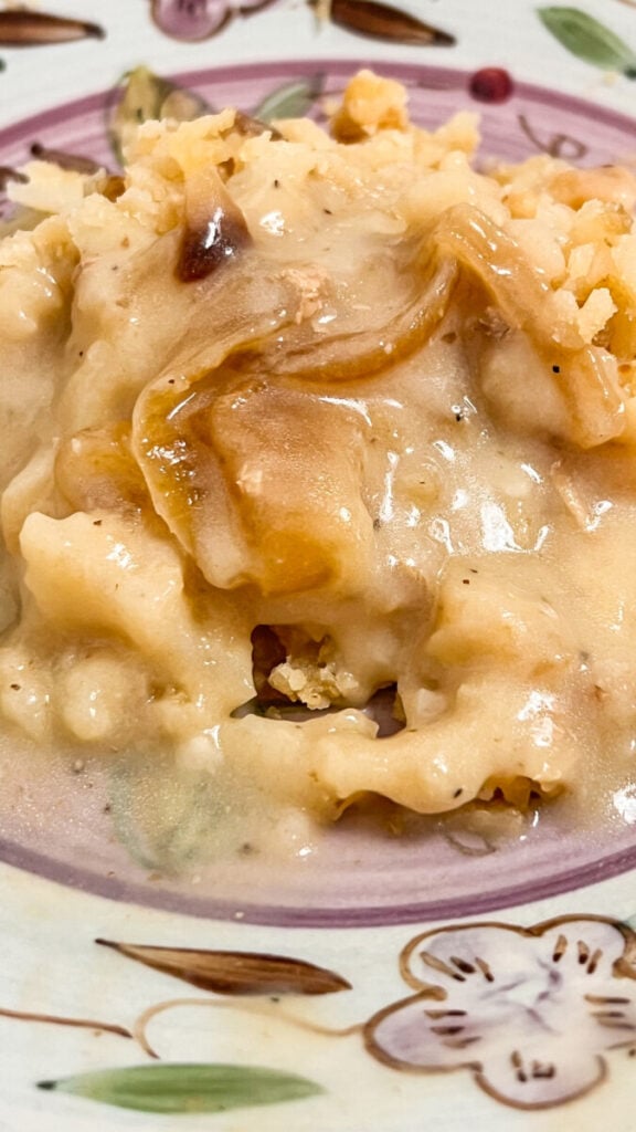  IMG_5899-576x1024 Onion Gravy  