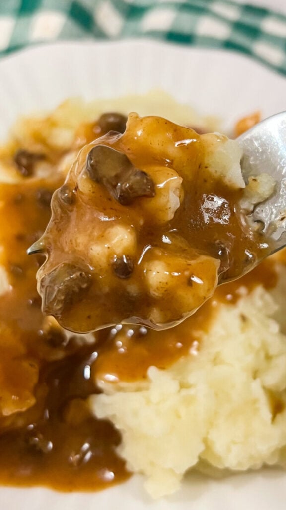  IMG_6215-576x1024 Easy Hamburger Gravy  