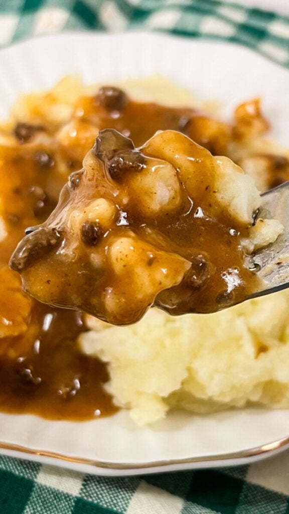  IMG_6218-576x1024 Easy Hamburger Gravy  