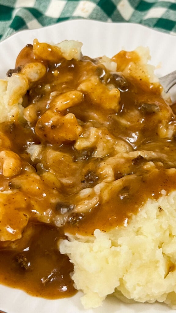  IMG_6221-576x1024 Easy Hamburger Gravy  