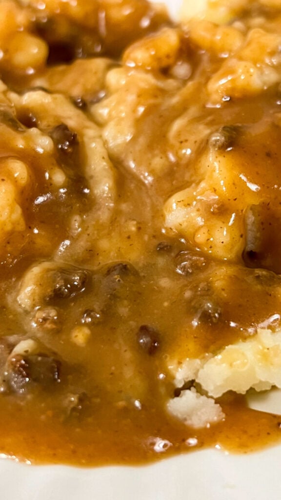  IMG_6229-576x1024 Easy Hamburger Gravy  