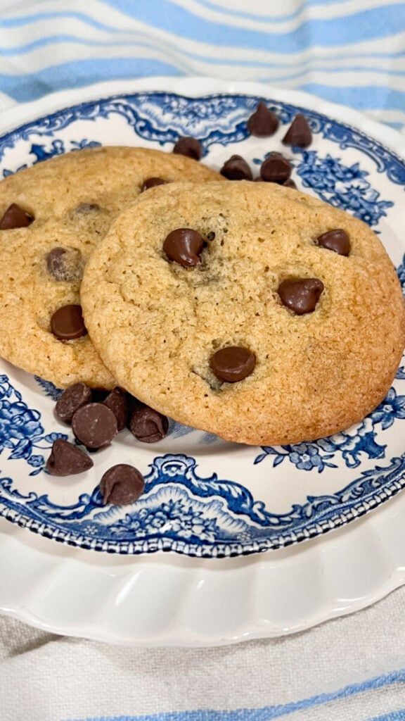  IMG_6323-576x1024 Sourdough Discard Chocolate Chip Cookies  